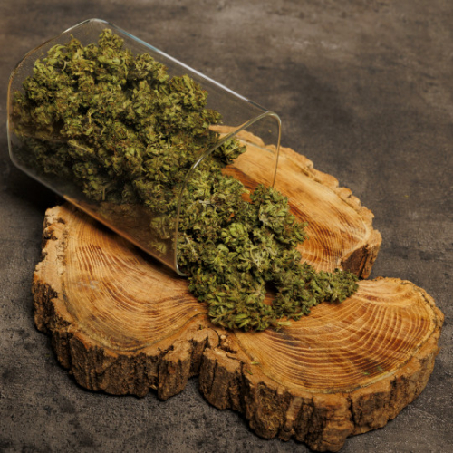 Fleurs de Haze CBD Bio Standard