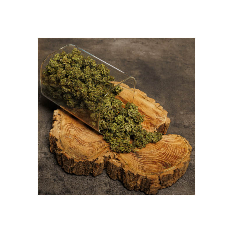 Fleurs de Haze CBD Bio Standard