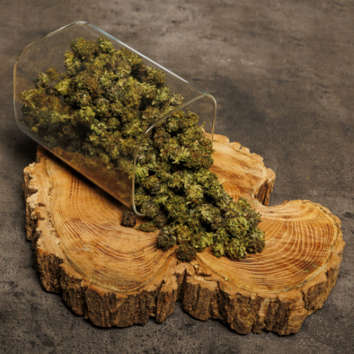 Northern Lights CBD Bio 25g qualité standard Amsterdam Sensation