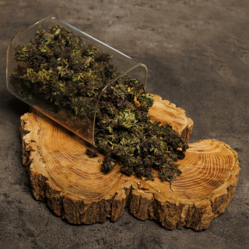 Purple Haze CBD bio 25g Amsterdam Sensation