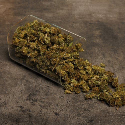 Blueberry CBD bio 25g sur table