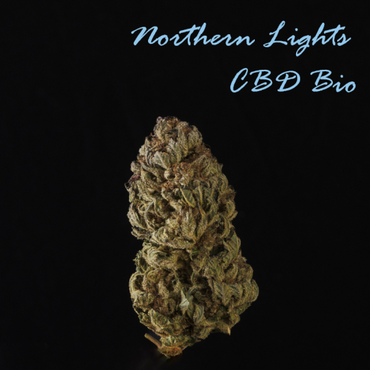 Northern Lights CBD Bio Premium fleur studio