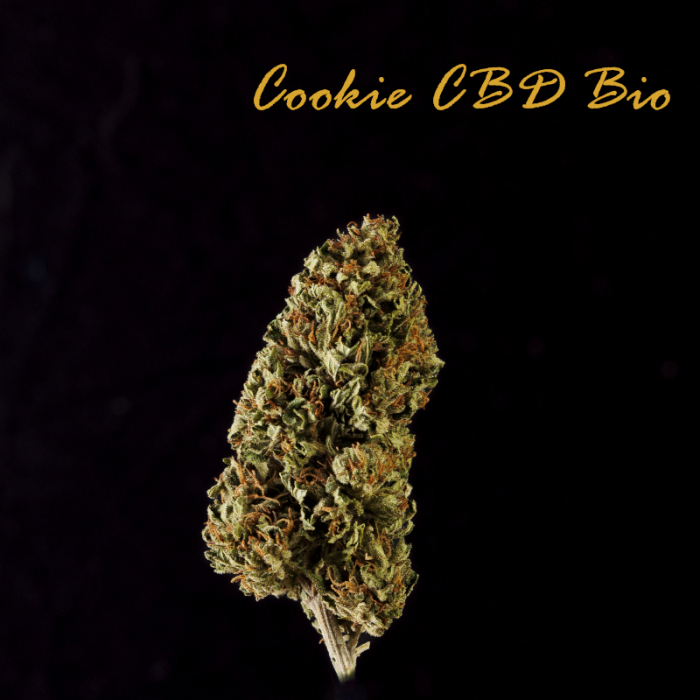 Cookie CBD Bio Premium Fleur studio