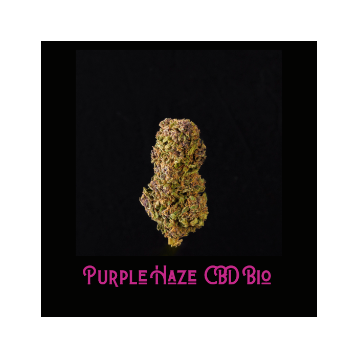 Purple haze CBD Bio