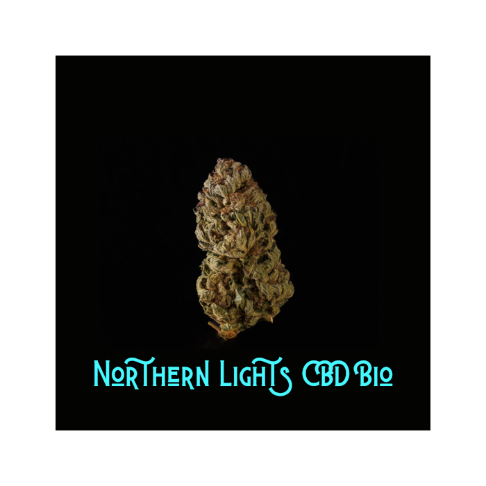 Northern Lights CBD Bio Studio