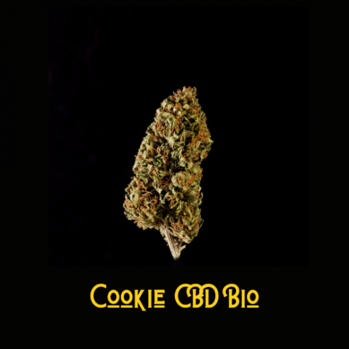 Cookie CBD Bio Studio