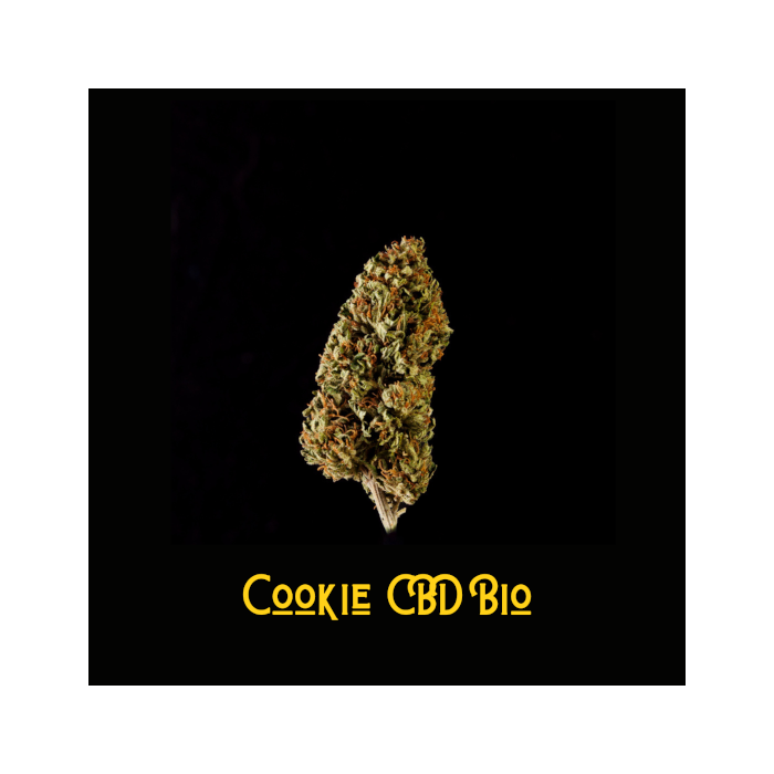 Cookie CBD Bio Studio
