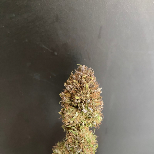 Cherry cbd bio premium