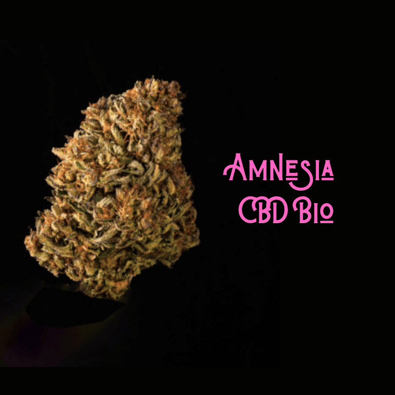 Amnesia CBD - créativité