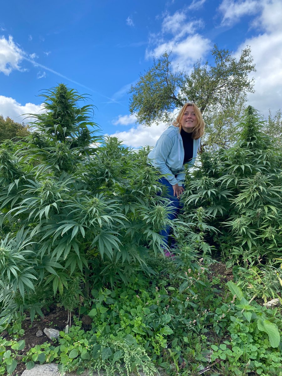 Isabelle productrice CBD