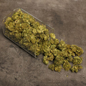 Lemon CBD Bio 25g, qualité standard, douce et fruitée