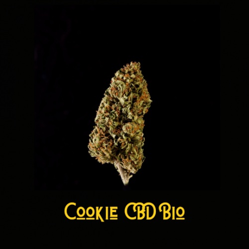 Cookie CBD Bio premium, bonbon !