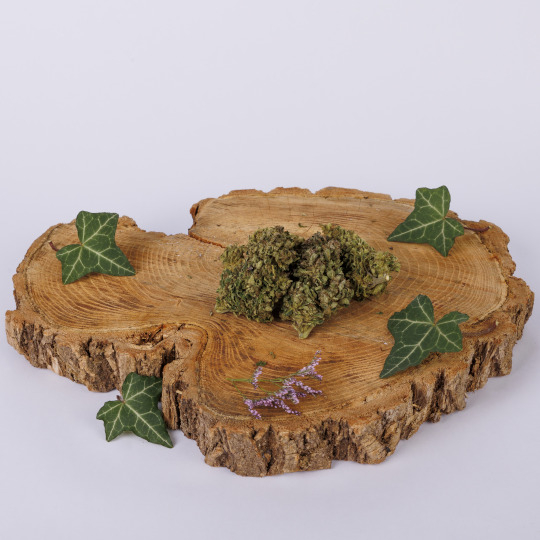 Amnesia CBD Bio Premium Plateau