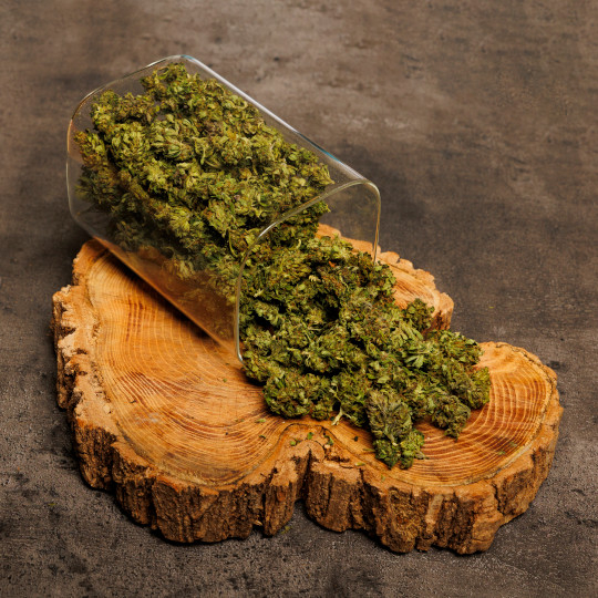 Amnesia CBD Bio 25g standard Amsterdam Sensation