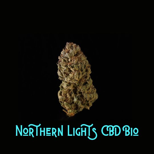 Northern Lights CBD