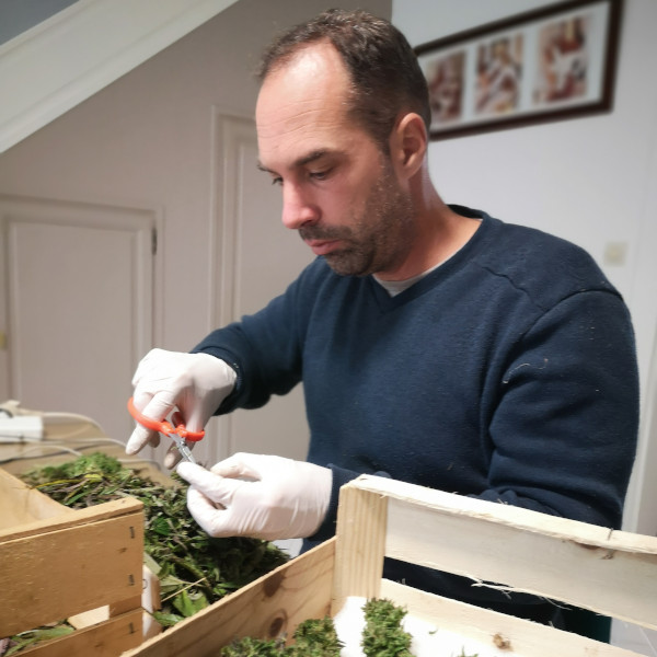 Chanvre bio d'excellence