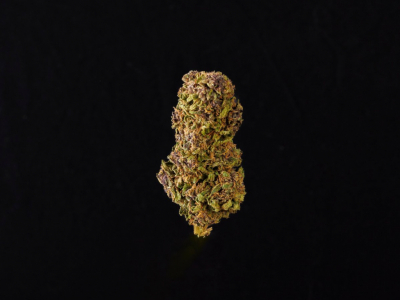 Le top 5 des fleurs de CBD selon votre besoin